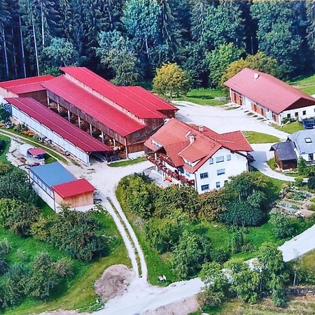Ferienwohnungen Bauernhof Schilcher Sankt Stefan im Lavanttal ภายนอก รูปภาพ