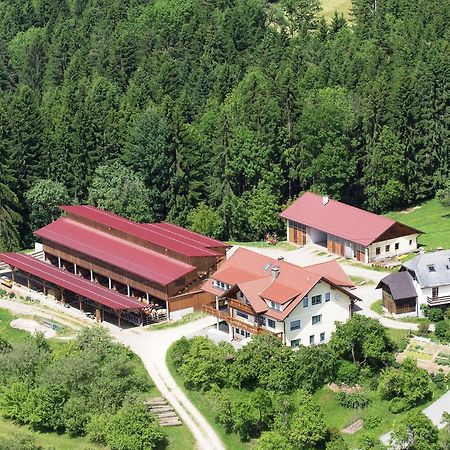 Ferienwohnungen Bauernhof Schilcher Sankt Stefan im Lavanttal ภายนอก รูปภาพ