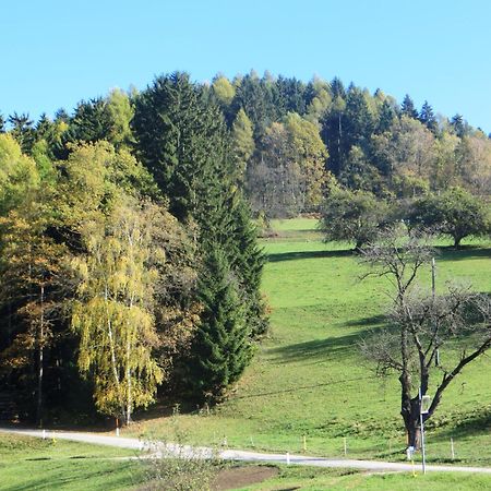 Ferienwohnungen Bauernhof Schilcher Sankt Stefan im Lavanttal ภายนอก รูปภาพ