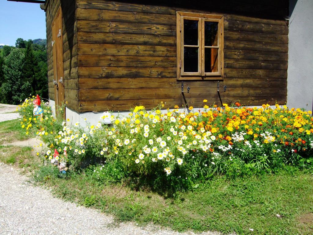 Ferienwohnungen Bauernhof Schilcher Sankt Stefan im Lavanttal ภายนอก รูปภาพ