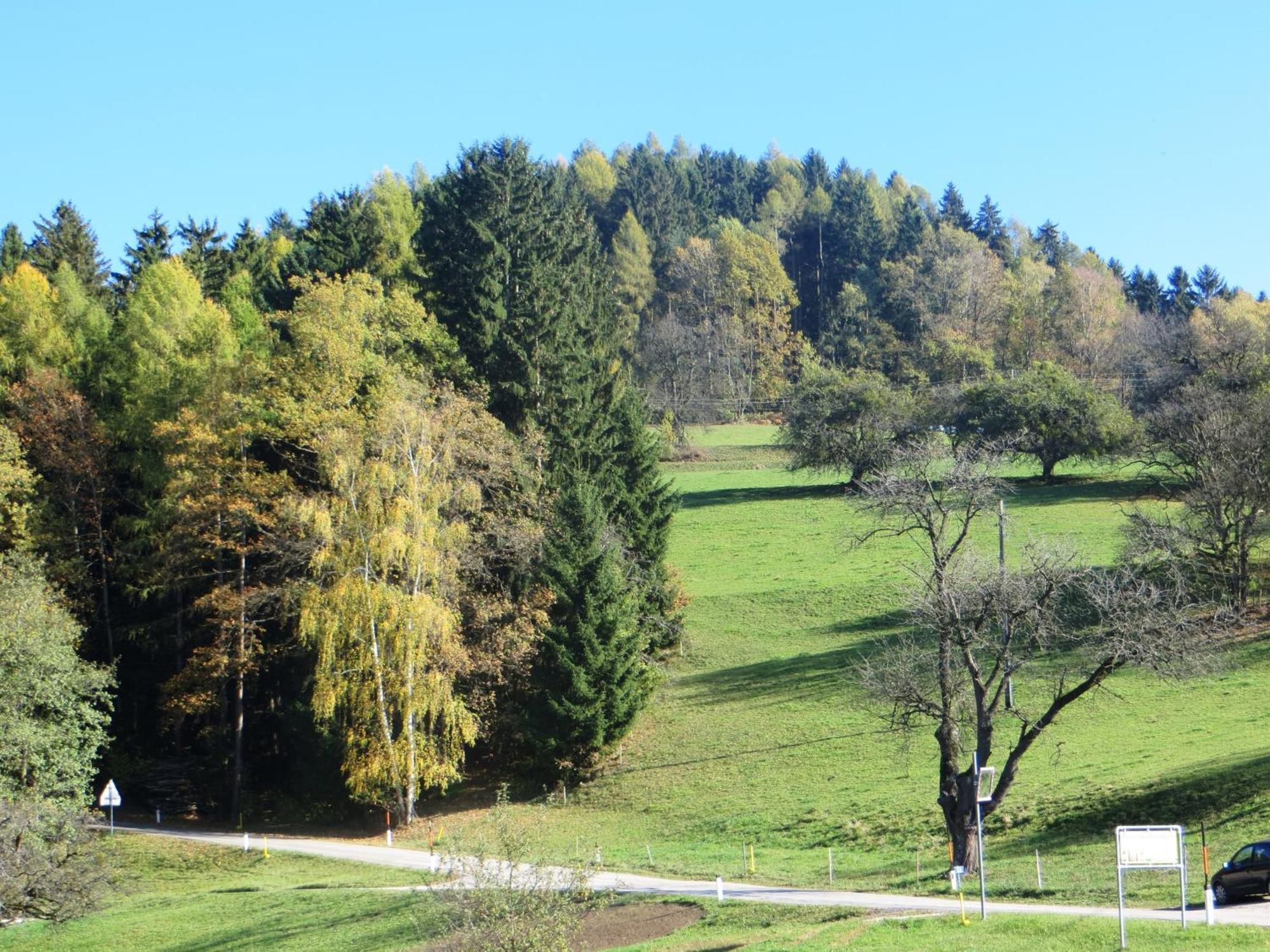 Ferienwohnungen Bauernhof Schilcher Sankt Stefan im Lavanttal ภายนอก รูปภาพ
