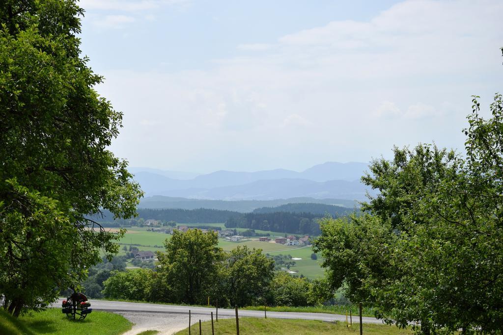 Ferienwohnungen Bauernhof Schilcher Sankt Stefan im Lavanttal ภายนอก รูปภาพ